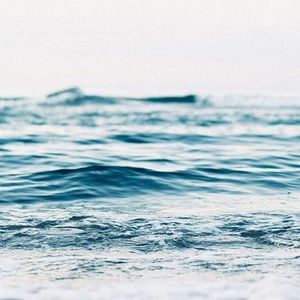 Meet your Posher, Ava